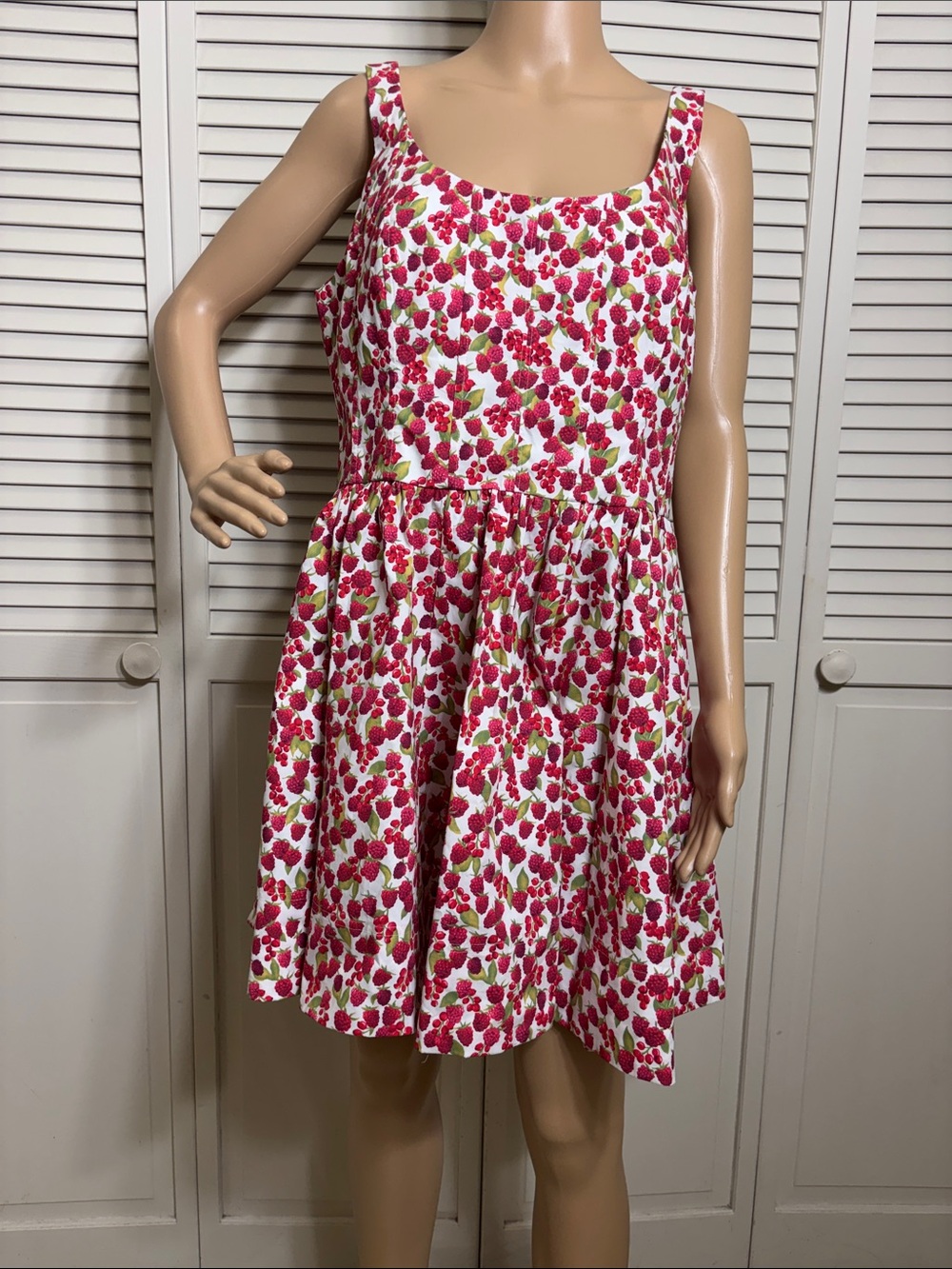 J. Crew Fit-and-Flare Mini Dress in Raspberry Print Size 12